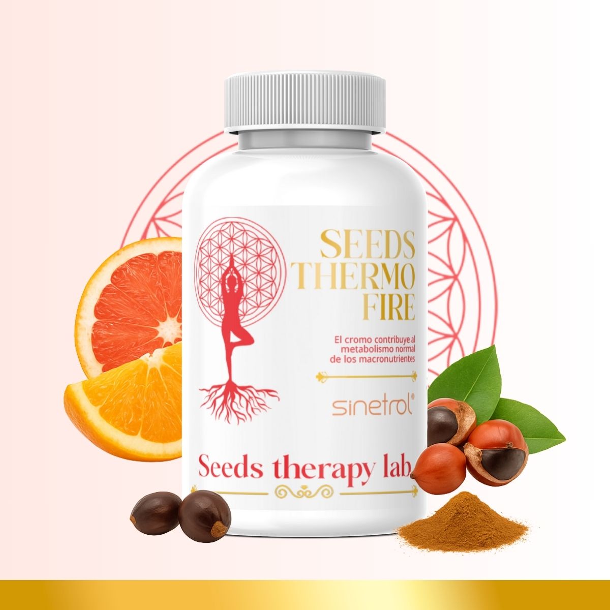 Seeds Thermo Fire — Sinetrol®
